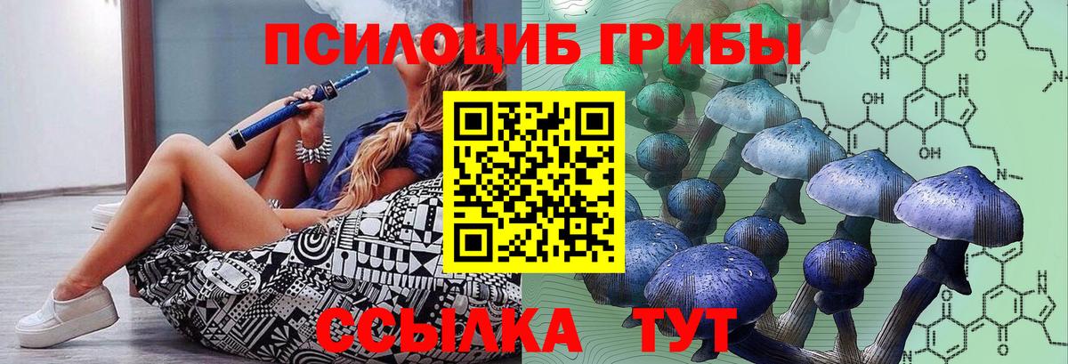 Зеленодольск  Псилоцибиновые грибы мухоморы  Вход с VPN 